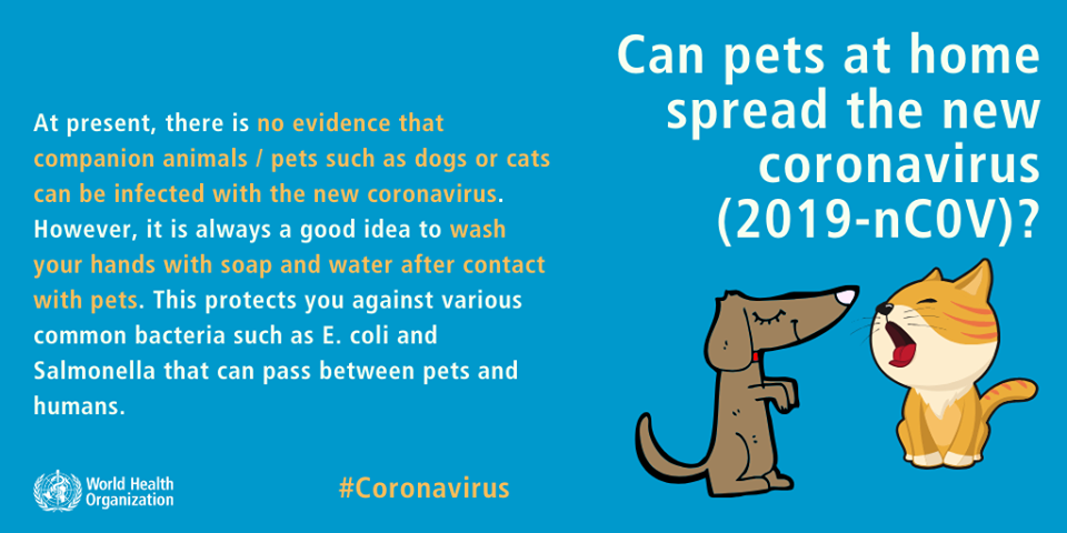 Can pets spread Coronavirus