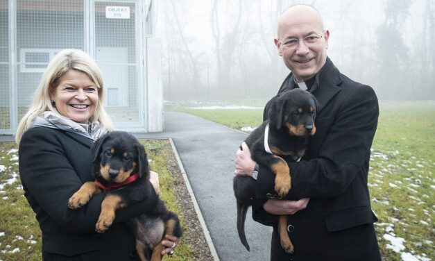 Neues Welpenhaus für Hundenachwuchs beim Bundesheer