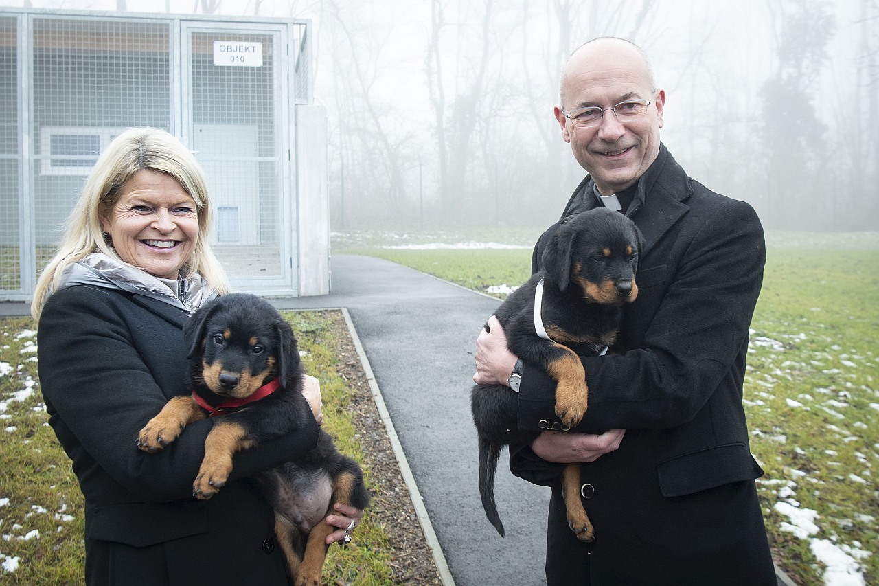 Neues Welpenhaus für Hundenachwuchs beim Bundesheer