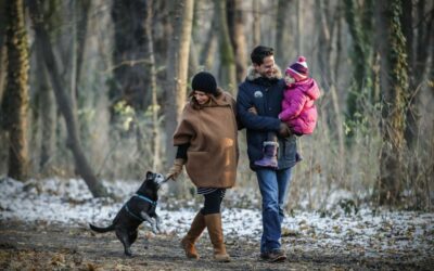 Tipps für abwechslungsreiche Winterspaziergänge mit Hund