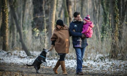 Tipps für abwechslungsreiche Winterspaziergänge mit Hund in Wien