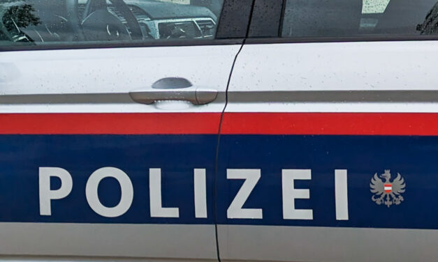 Rottweiler-Attacke: Frau schwer verletzt – Polizei erschießt Hund